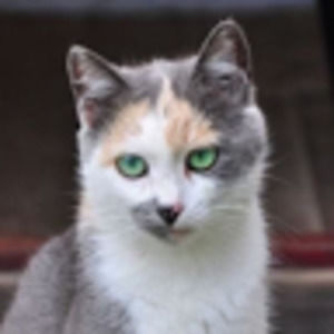 Meet your Posher, Squeezy3052